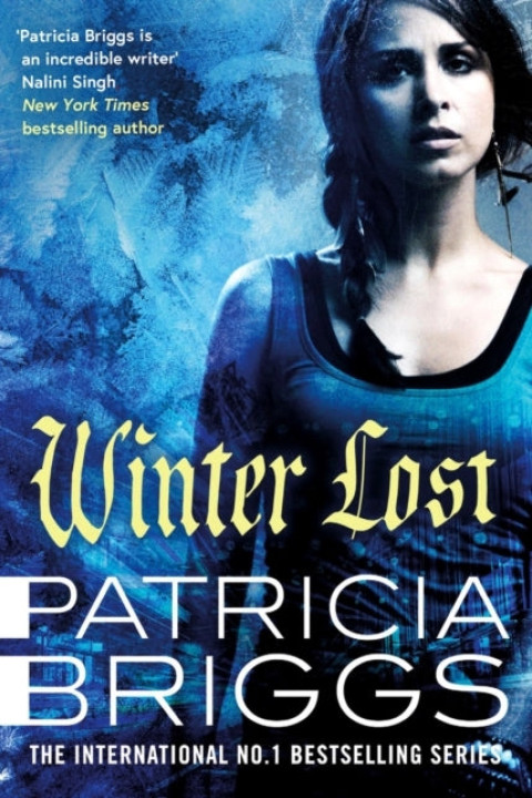 Omslag: Winter Lost