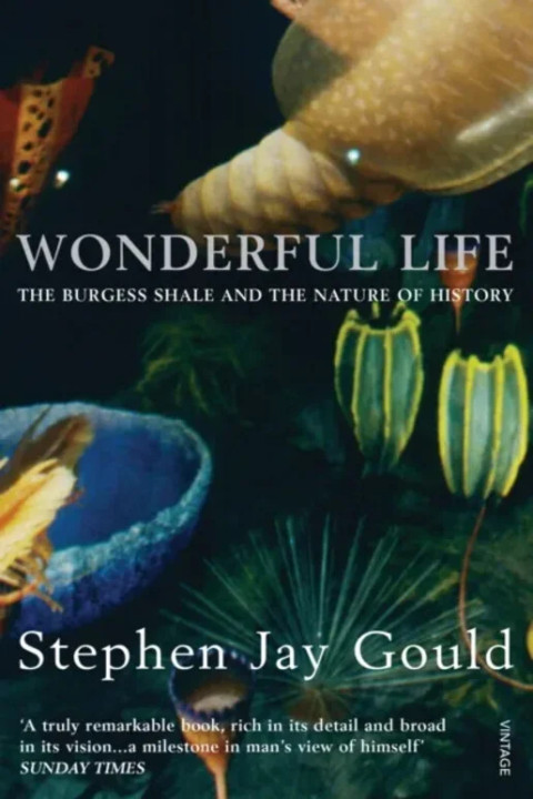 Omslag: Wonderful Life