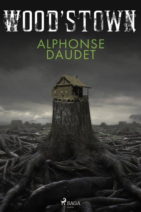 Omslag: Woodâstown