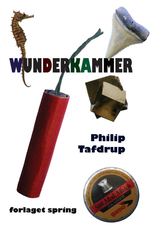 Omslag: Wunderkammer