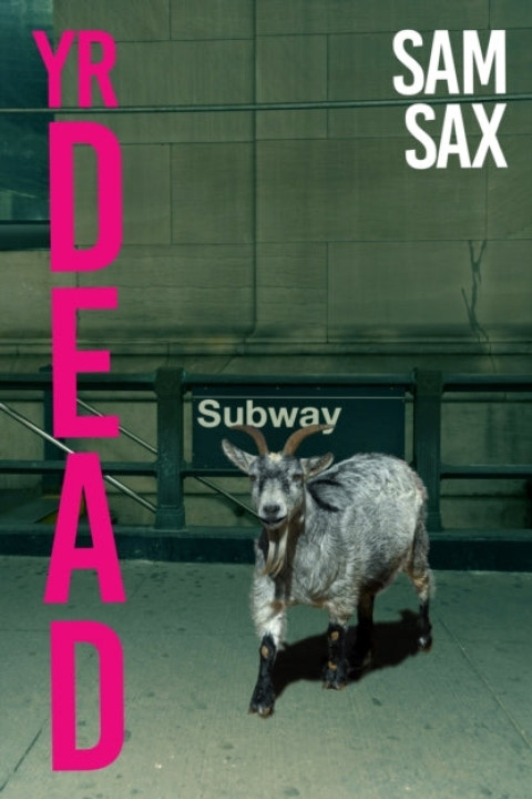 Omslag: Yr Dead