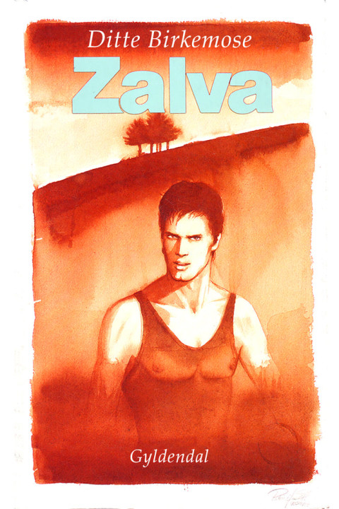 Omslag: Zalva
