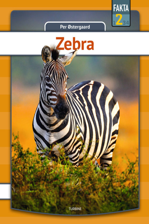 Omslag: Zebra