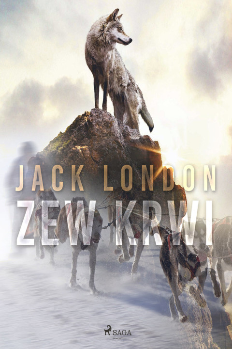 Omslag: Zew krwi