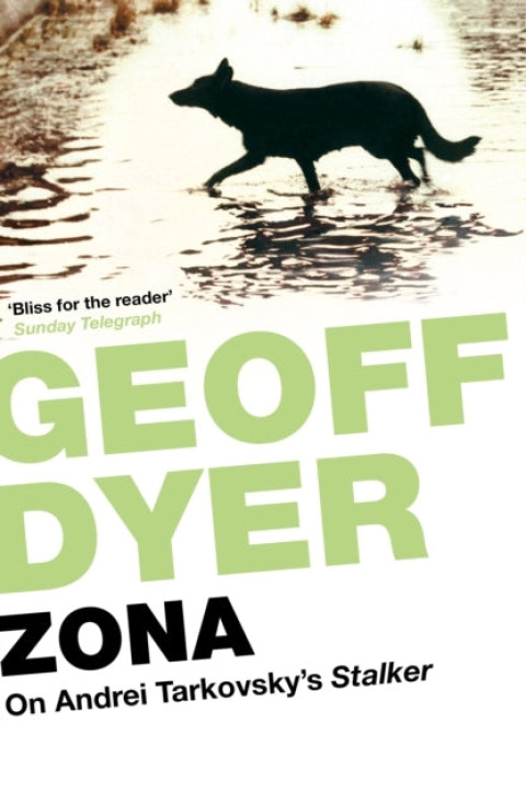 Omslag: Zona