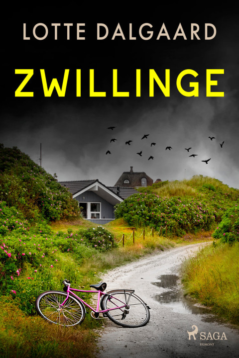 Omslag: Zwillinge