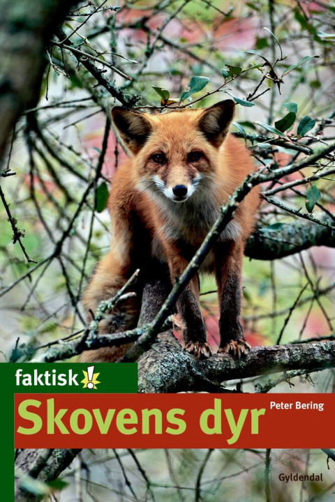 Omslag: Skovens dyr - Lyt&læs