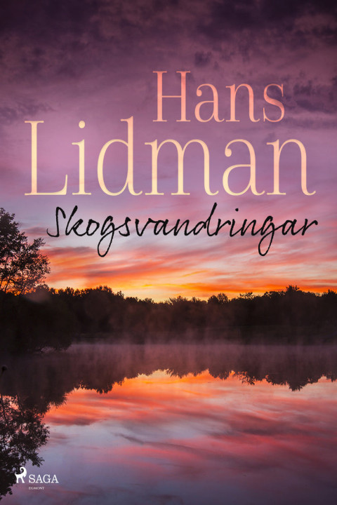 Omslag: Skogsvandringar