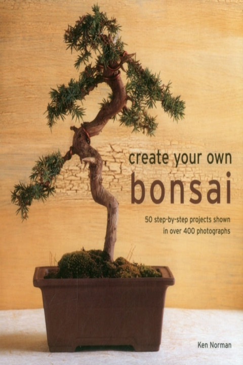 Omslag: Create Your Own Bonsai
