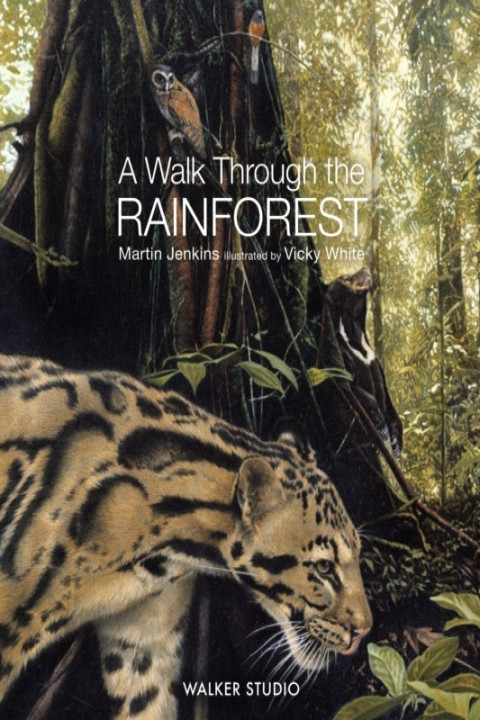Omslag: A Walk Through The Rainforest