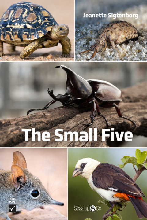Omslag: The Small Five