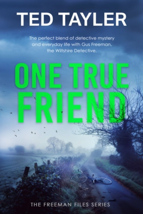 Omslag: One True Friend