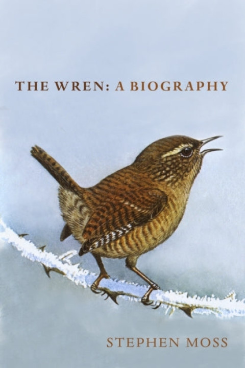 Omslag: The Wren