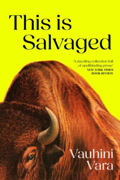 Omslag: This Is Salvaged