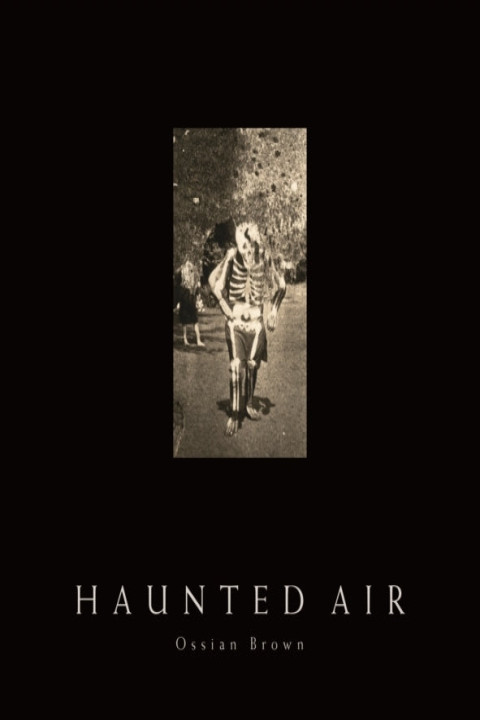 Omslag: Haunted Air