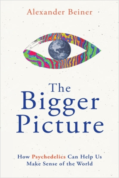 Omslag: The Bigger Picture