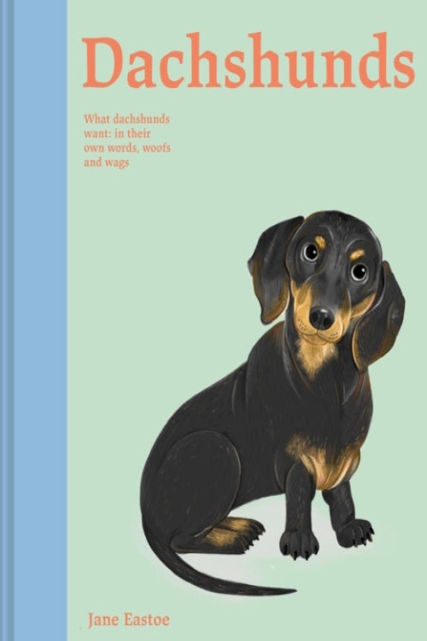 Omslag: Dachshunds