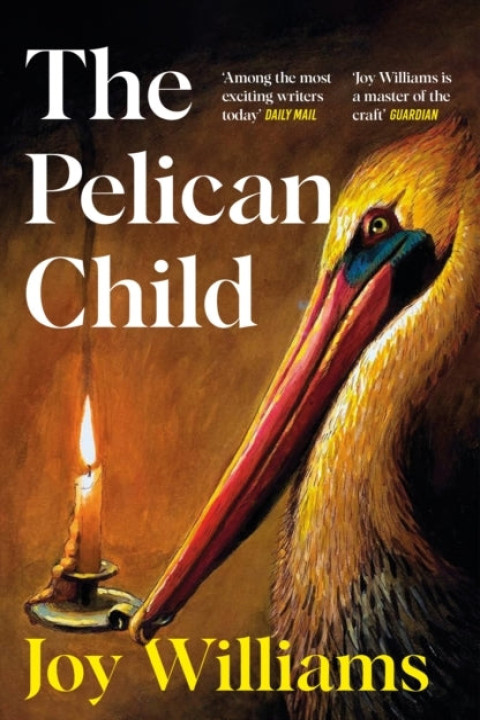 Omslag: The Pelican Child