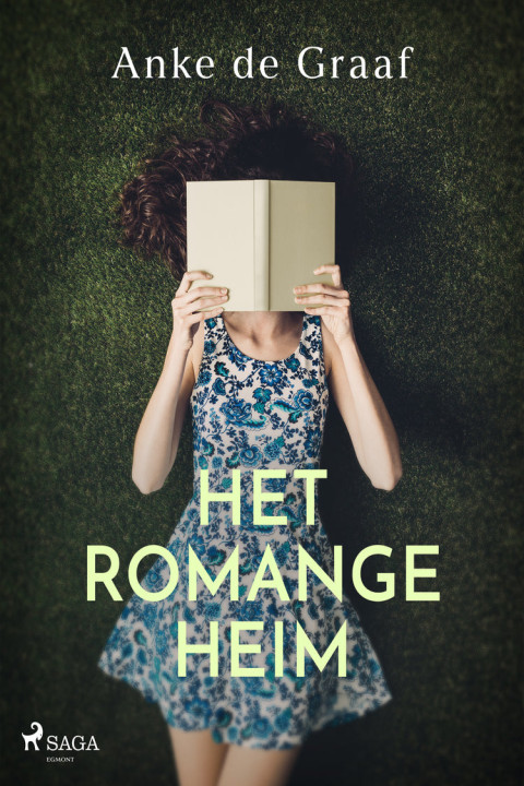 Omslag: Het romangeheim