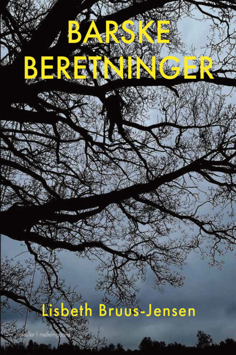 Omslag: Barske beretninger
