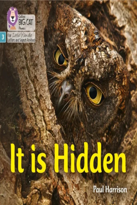 Omslag: It is Hidden - Phase 3 Set 2