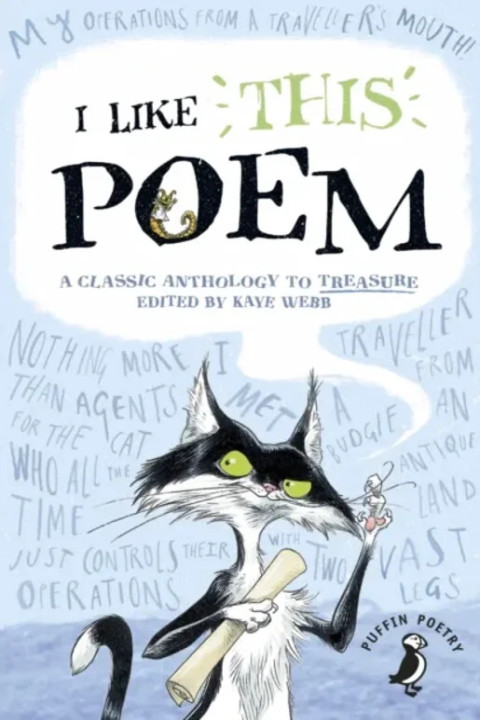 Omslag: I Like This Poem