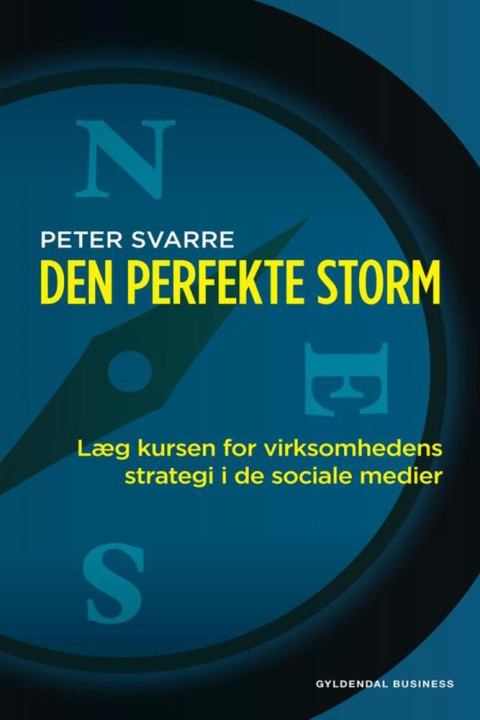 Omslag: Den perfekte storm
